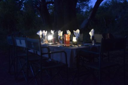 Dukat bord i Okavango
